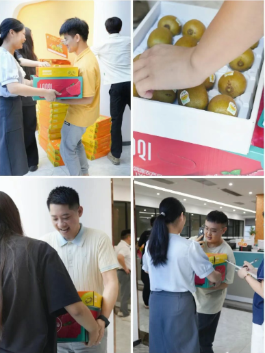 智茂发放水果礼盒.png